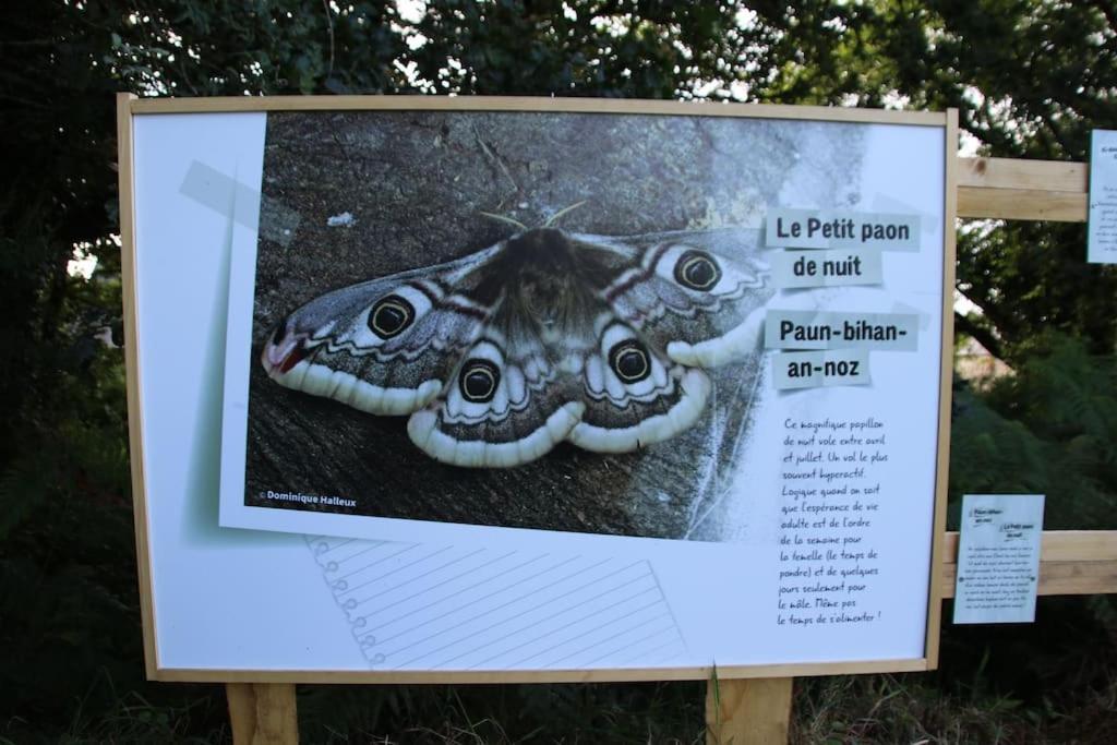Villa La Petite Bretonne Plounerin Esterno foto