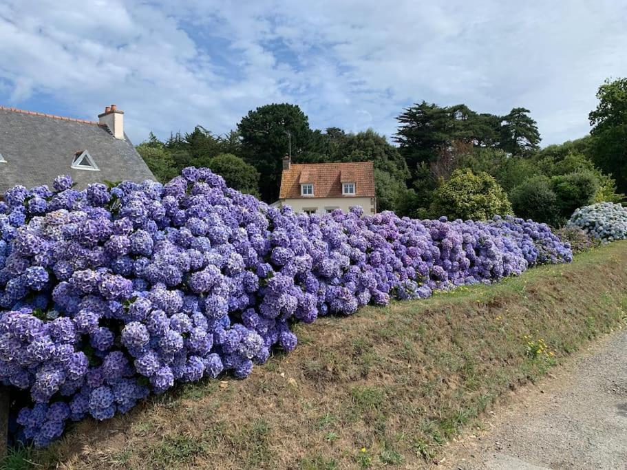 Villa La Petite Bretonne Plounerin Esterno foto